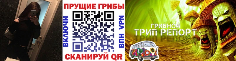 Псилоцибиновые грибы Cubensis сайты даркнета клад Северодвинск наркотики