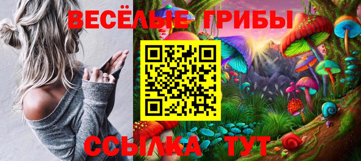 где продают наркотики  Псилоцибиновые грибы MAGIC MUSHROOMS  Вход с VPN  Северодвинск  Псилоцибиновые грибы GOLDEN TEACHER 