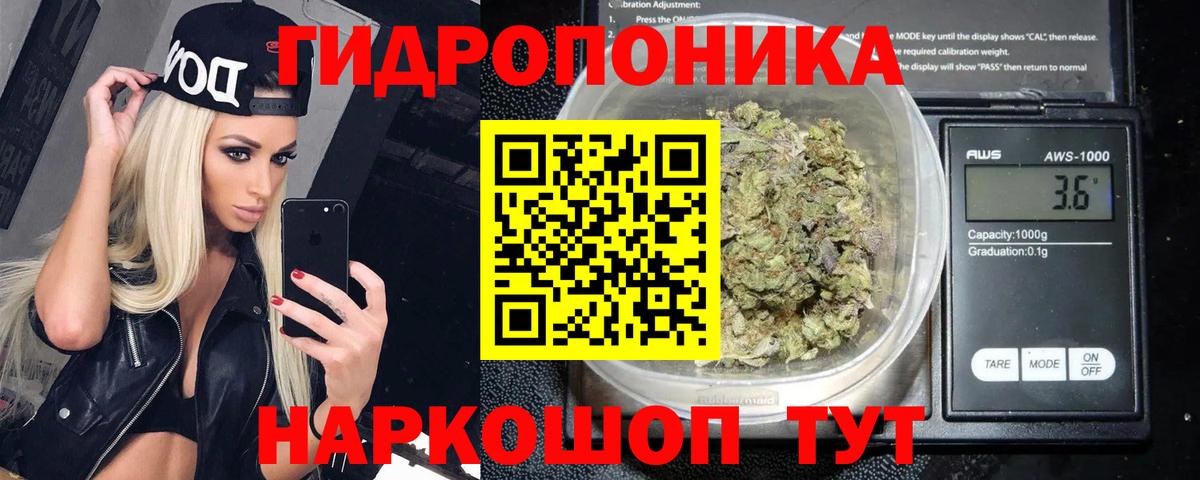 Бошки Шишки сатива Северодвинск